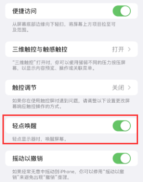 姜堰苹果授权维修站分享iPhone轻点无法唤醒怎么办 