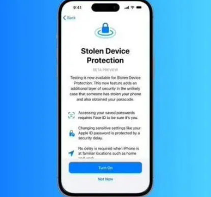姜堰苹果授权维修店分享被盗设备保护功能开启方法 