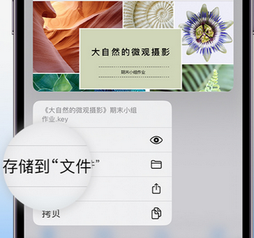 姜堰apple维修中心分享iPhone文件应用中存储和找到下载文件