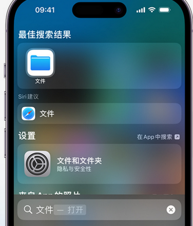 姜堰apple维修中心分享iPhone文件应用中存储和找到下载文件 