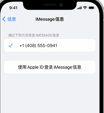 姜堰apple维修iPhone上无法正常发送iMessage信息