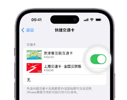 姜堰apple维修点分享iPhone上更换Apple Pay快捷交通卡手绘卡面 