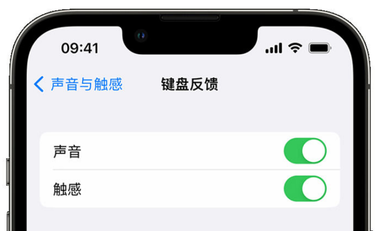 姜堰苹果手机维修分享iPhone 14触感键盘使用方法 