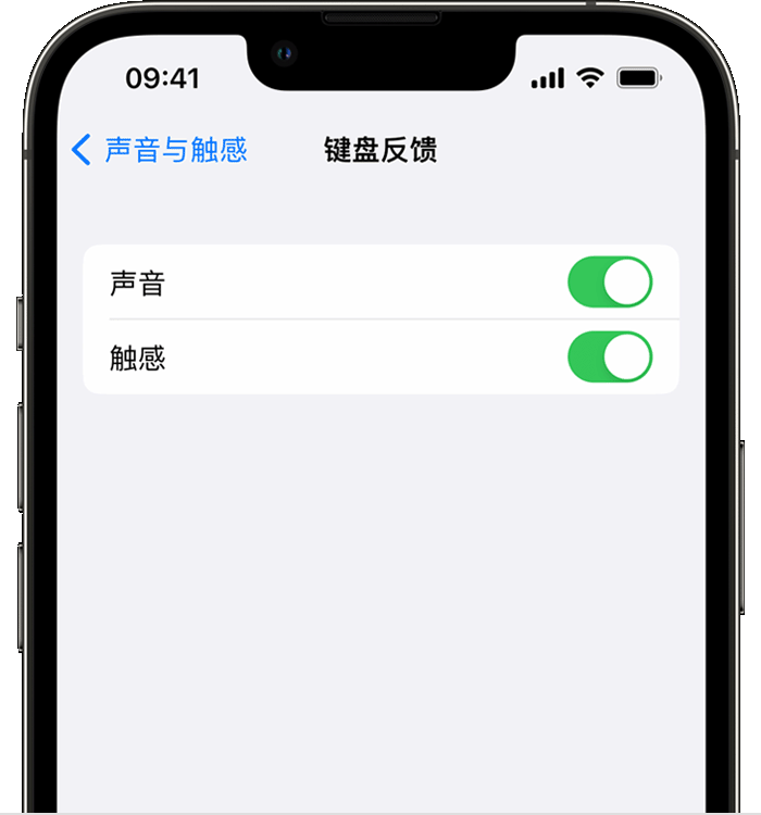 姜堰苹果14维修店分享如何在 iPhone 14 机型中使用触感键盘 