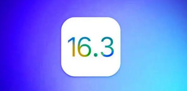 姜堰苹果手机维修分享iOS16.3正式版升级反馈汇总 
