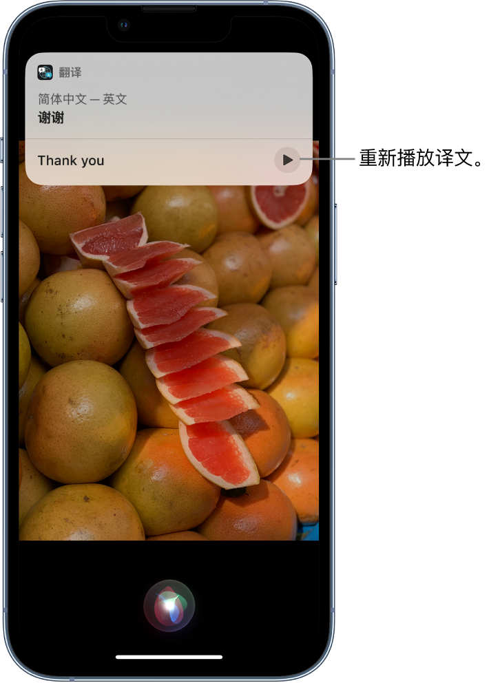 姜堰苹果14维修分享 iPhone 14 机型中使用 Siri：了解 Siri 能帮你做什么 