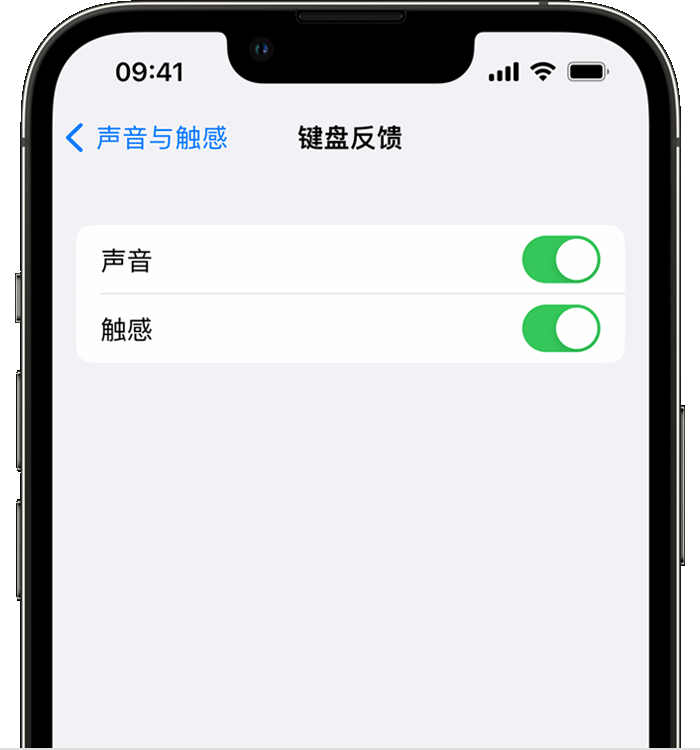 姜堰苹果14维修分享iPhone 14 系列机型如何开启键盘声音或触感反馈 