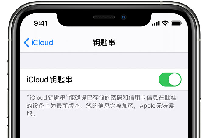 姜堰苹果手机维修分享在 iPhone 上开启 iCloud 钥匙串之后会储存哪些信息 