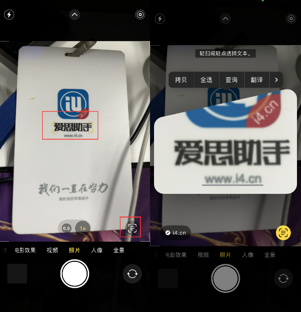 姜堰苹果手机维修分享升级iOS 16后如何通过相机翻译文本 