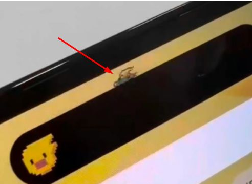 姜堰苹果14维修分享iPhone 14 Pro Max灵动岛怎么养宠物 