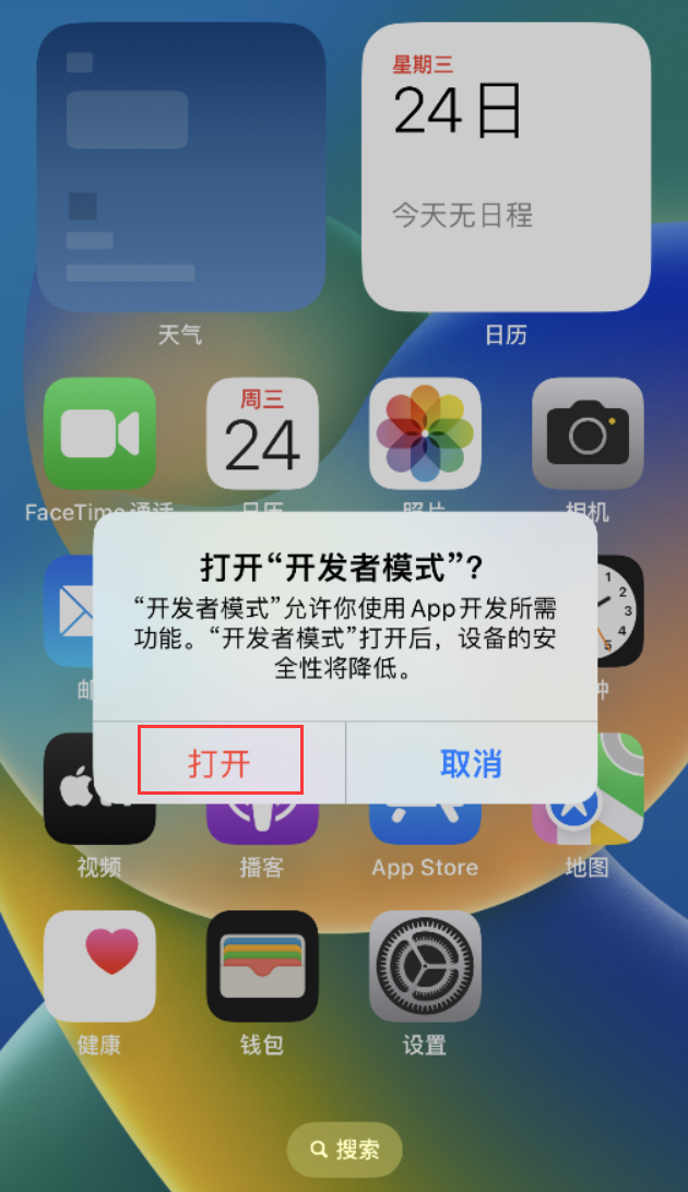 姜堰苹果手机维修分享如何打开开发者模式 