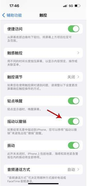 姜堰苹果手机维修分享iPhone手机如何设置摇一摇删除文字 