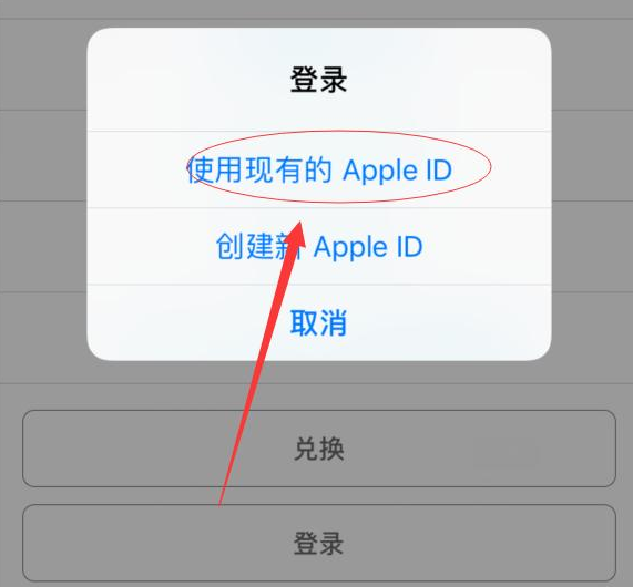 姜堰苹果手机维修分享两台iPhone设备可以同时登录一个Apple ID吗 