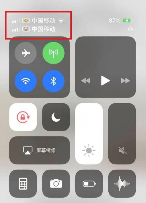 姜堰苹果手机维修分享为 iPhone 12 双卡设置标签 
