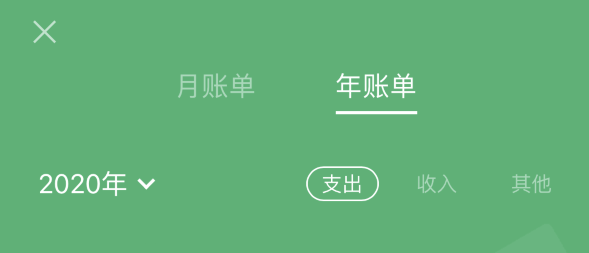 姜堰苹果手机维修分享如何在 iPhone 上查看支付宝和微信年支出账单 