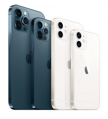 姜堰苹果维修点分享iPhone 12 Pro黑屏小众问题解析 